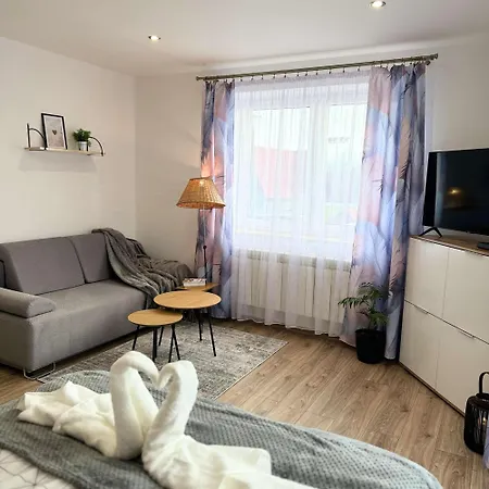 Apartamenty Kamata Tylicz Exterior foto